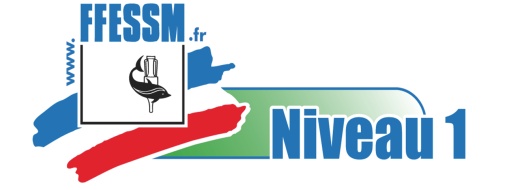 logo-niveau i