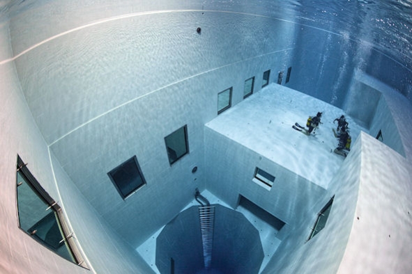 nemo33