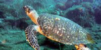 phoca thumb m2 dsci0474 2