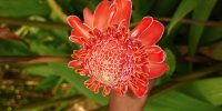 phoca thumb m2 dsci0847